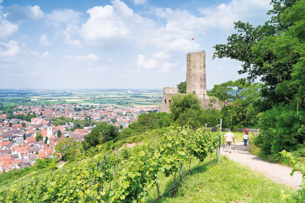 Aussicht an der Strahlenburg