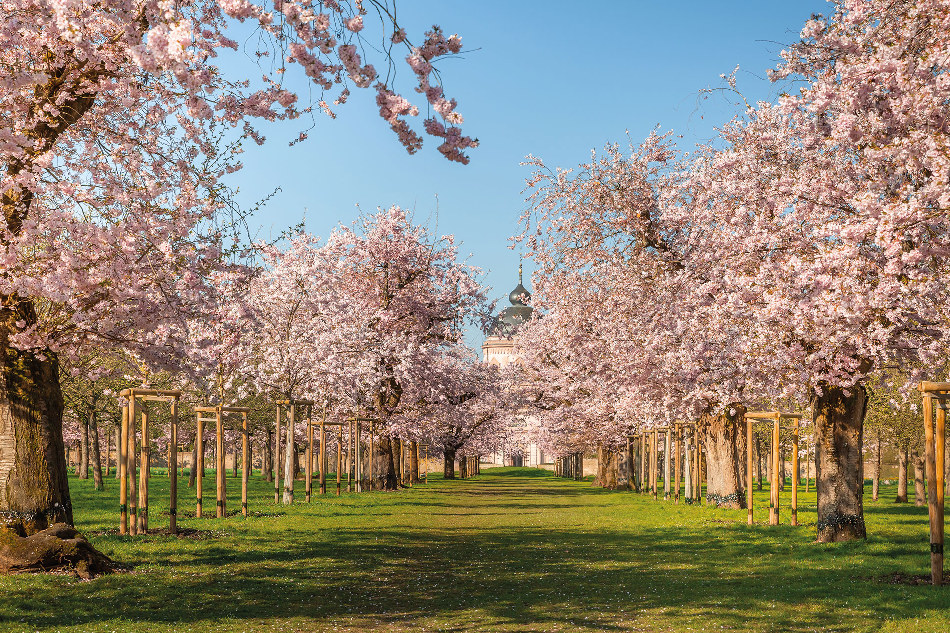 Schwetzinger Schlosspark