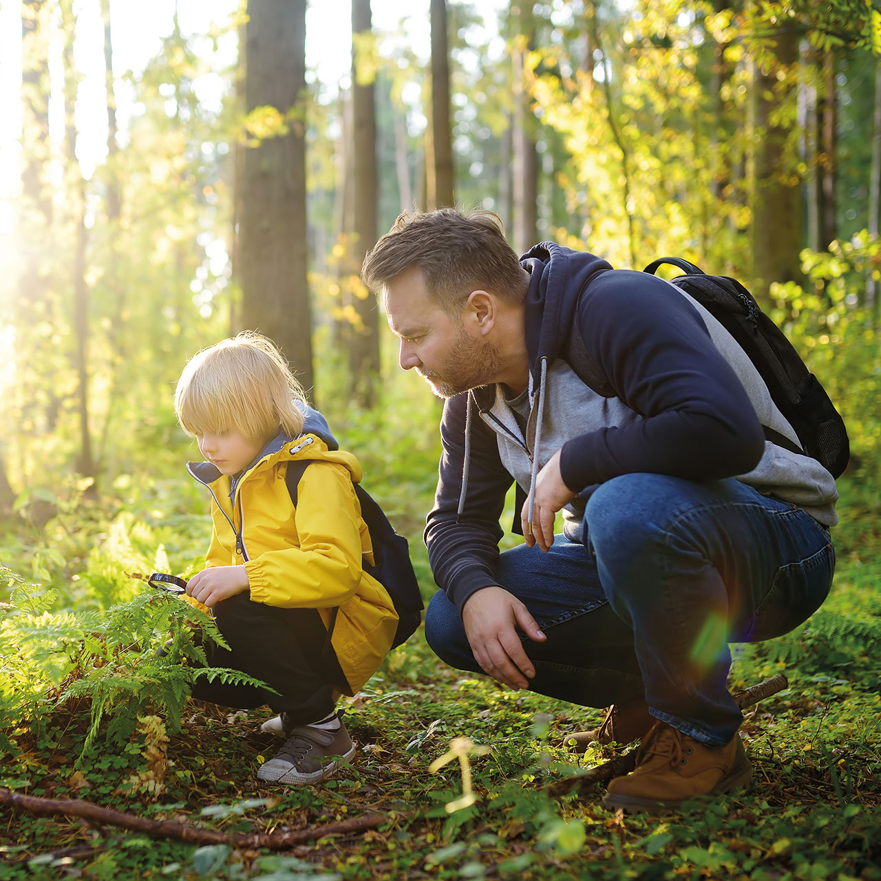 Vater und Kind im Wald
